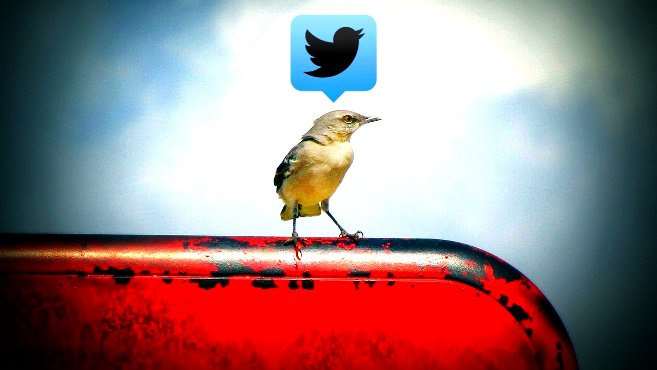 Twitter by Uncalno Tekno is shared under CC BY 2.0